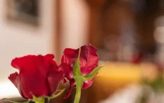 Blume