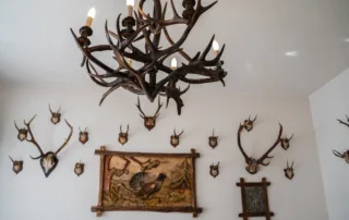 Geweihe an der Wand mit Lampe