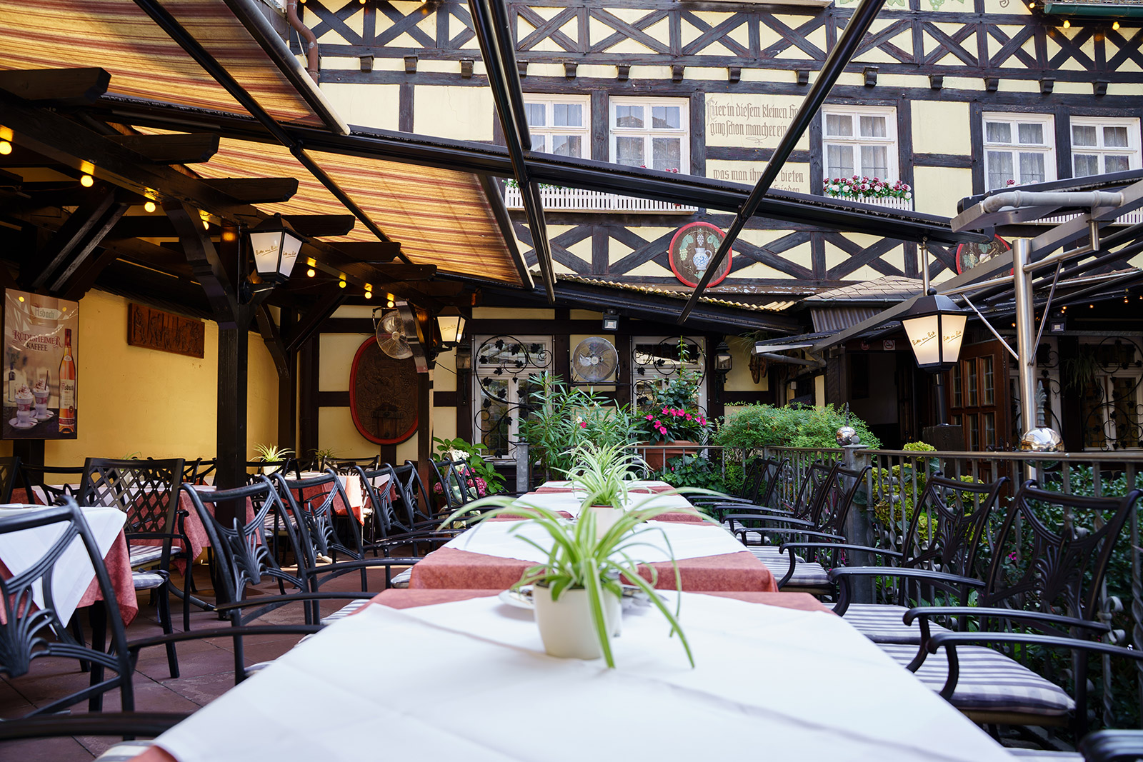 Ideal für Gruppen – lange, sonnengeschützte Terrassentafel Lange Tischreihe auf der Terrasse mit Pflanzen und Blick zur Fensterfront